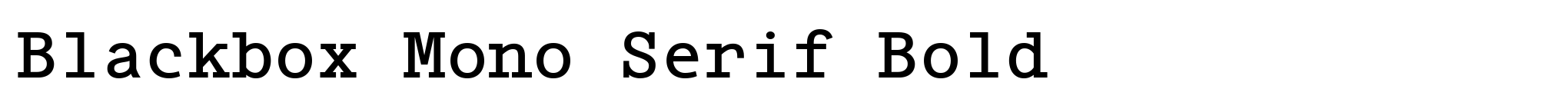Blackbox Mono Serif Bold image